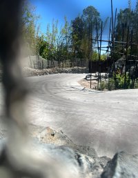 IMG_1203.jpeg