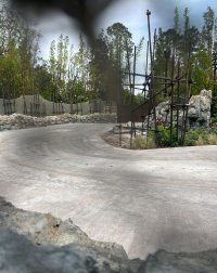 IMG_1307.jpeg