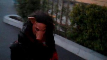 IMG_8945.jpeg