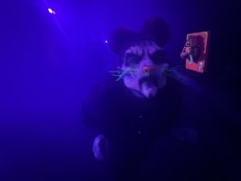 IMG_9178.jpeg