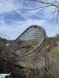 IMG_3537.jpeg