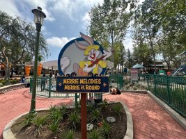 IMG_5621.jpeg