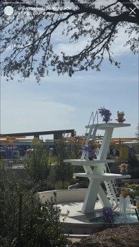 IMG_3165.jpeg