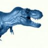 IMZD2