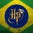 HPBrazil